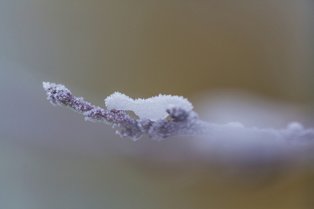 Picturesque snow-covered forest in the winterの写真素材