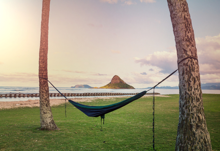 Beautiful landscapes in Oahu island, Hawaiiの写真素材