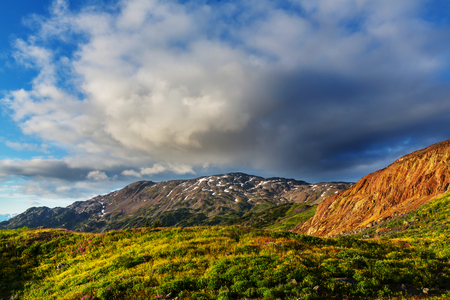 Mountain meadow in Alaska, summer seasonの写真素材