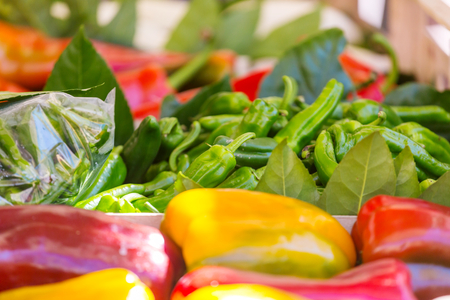 Colorful green , red and yellow peppersの写真素材