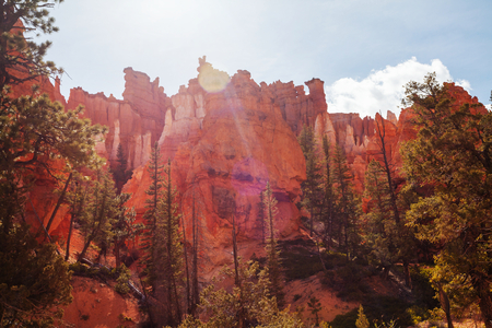 Picturesque colorful pink rocks of the Bryce Canyon National park in Utah, USAの写真素材