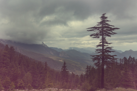 Beautiful nature landscapes in Turkey mountains.の写真素材