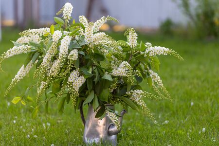 Spring scene  in the green garden