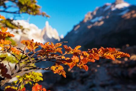 Autumn season in Patagonia mountains, South America, Argentinaの写真素材
