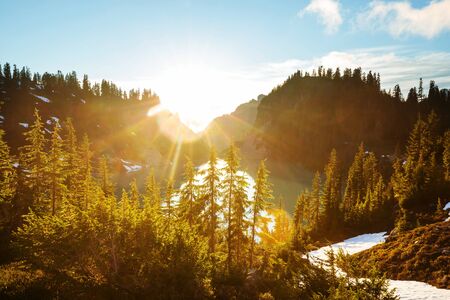 Serenity lake in the mountains in summer season. Beautiful natural landscapes.