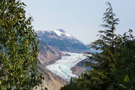 Picturesque mountain view in the Canadian Rockies in summer seasonの写真素材