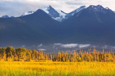 Picturesque mountain view in the Canadian Rockies in summer seasonの写真素材
