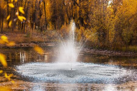 Fountain in beautiful autumn parkの写真素材