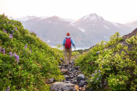 Hiking man in Canadian mountains. Hike is the popular recreation activity in North America.の写真素材