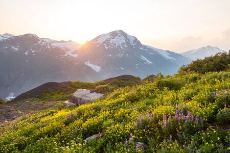 Picturesque mountain view in the Canadian Rockies in summer season