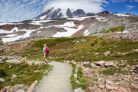 Mount Rainier national park, Washingtonの写真素材