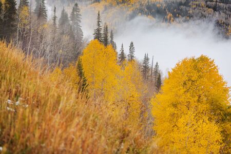 Late Autumn season in mountains