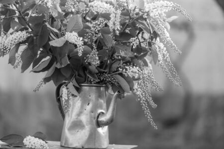 Amazing colorful flower in spring gardenの写真素材