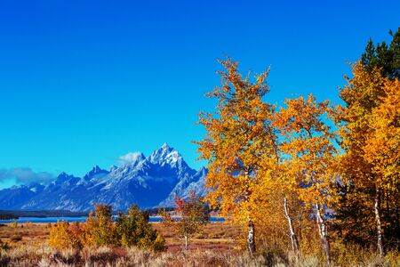 Bright colors of the Fall season in Grand Teton National Park, Wyoming, USAの写真素材