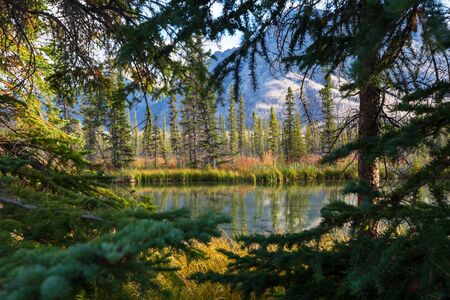 Picturesque mountain view in the Canadian Rockies in summer season