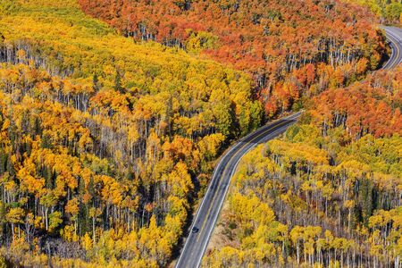Colorful Autumn scene on countryside road in the forestの写真素材