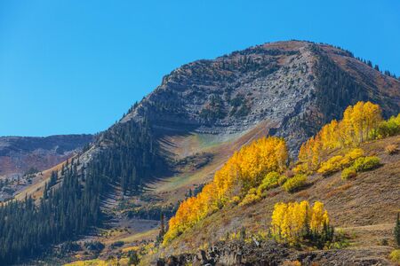 Mountain Landscape in Colorado Rocky Mountains, Colorado, United States.