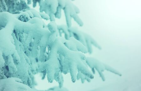 Scenic snow-covered forest in winter season. Good for Christmas background.