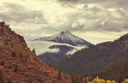 Colorful yellow autumn in Colorado, United States. Fall season.の写真素材