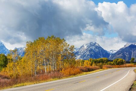 Colorful Autumn scene on countryside road in the forestの写真素材
