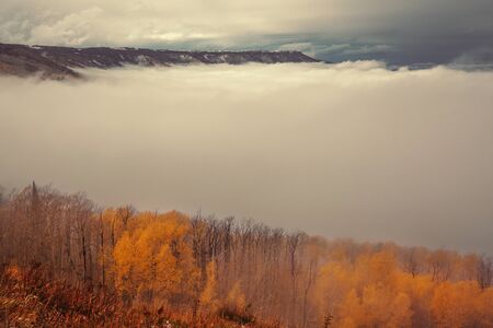 Late Autumn season in mountains