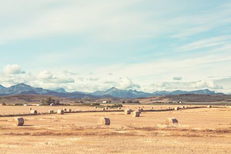 Hays in autumn field at sunriseの写真素材