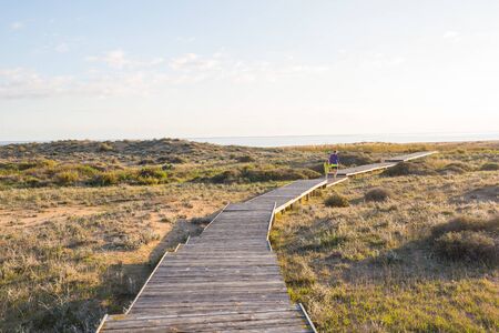 Wooden boardwalk on the tropical beachの写真素材