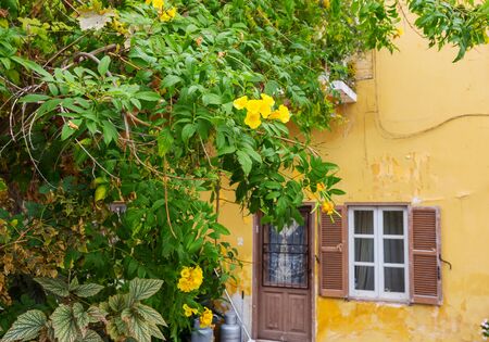 Flowers on  narrow street among the old housesの写真素材