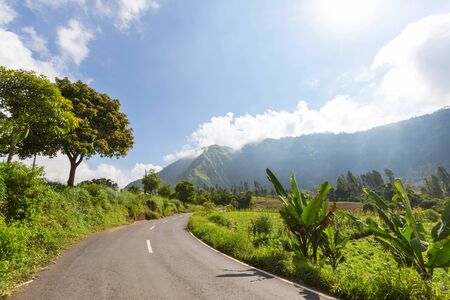 Green tropical landscapes in Java island, Indonesiaの写真素材