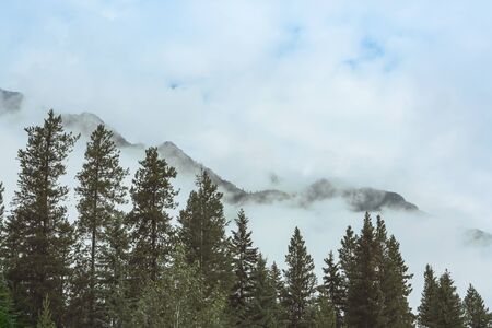 Beautiful morning scene in the mountains. Fog at sunrise.