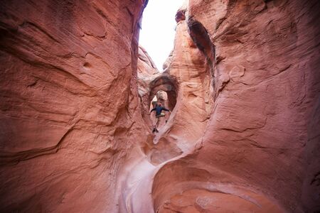 Slot canyon in Grand Staircase Escalante National park, Utah, USA. Unusual colorful sandstone formations in deserts of Utah are popular destination for hikers. Living coral toned.の写真素材