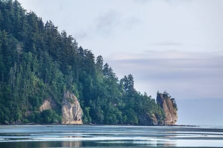 Scenic and rigorous Pacific coast in the National Park, Washington, USA.の写真素材