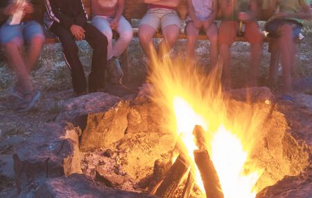 Campfire on the night party