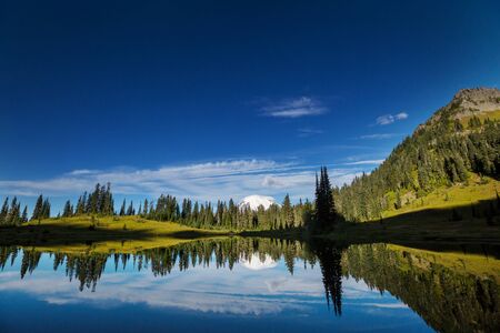 Mount Rainier national park, Washingtonの写真素材