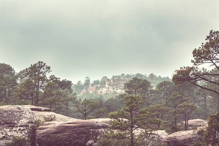 Jungle and mountains in the rainy season in Mexicoの写真素材