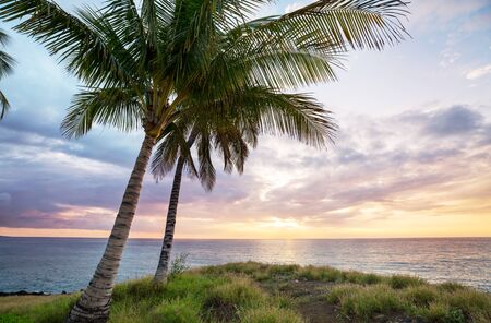 Serenity on the tropical beach