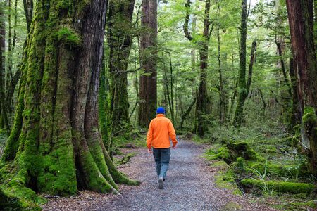 Man hiking bay the trail in the forest.Nature leisure hike travel outdoorの写真素材