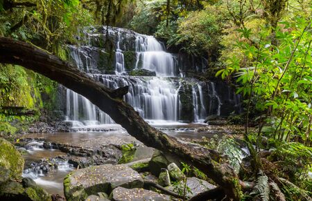 beautiful waterfall in green rainforest, New Zealandの写真素材