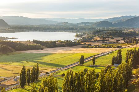 Beautiful rural  landscape of the New Zealand - green hills and trees