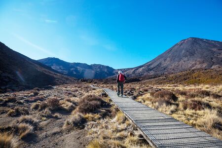 Amazing Emerald lakes on Tongariro Crossing track, Tongariro National Park, New Zealand. Wanderlust conceptの写真素材