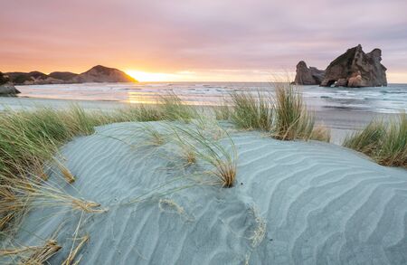 Sand dune at Pacific ocean beach, New Zealandの写真素材