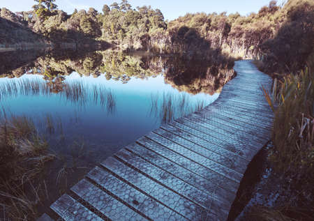 Boardwalk on the lake in tropical forest, New Zealand