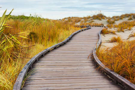 Wooden boardwalk on the tropical beachの写真素材
