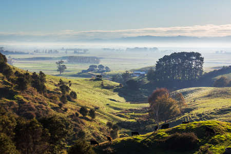 Beautiful rural  landscape of the New Zealand - green hills and treesの写真素材
