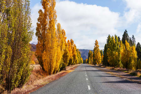 Autumn season in New Zealand mountainsの写真素材