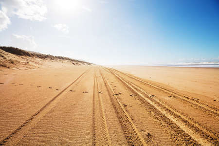 tyre tracks on sandy beach in Pacific coast, New Zealandの写真素材