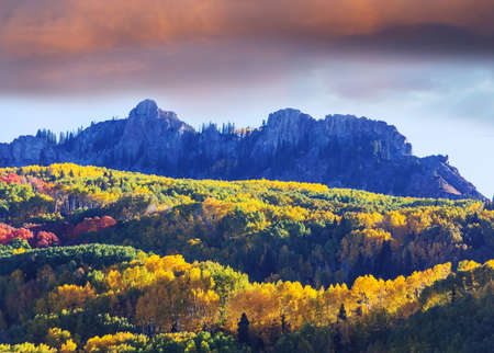 Colorful yellow autumn in Colorado, United States. Fall season.の写真素材