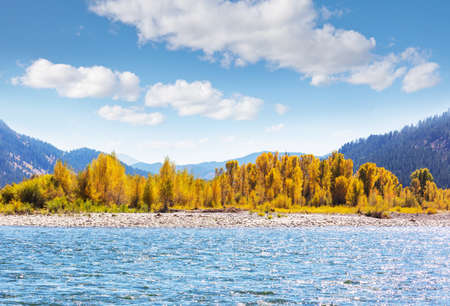 The beautiful lake in Autumn seasonの写真素材