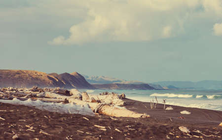 Beautiful landscapes it the Ocean Beach, New Zealand. Inspiring natural and travel backgroundの写真素材
