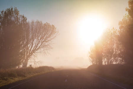 Amazing foggy rural landscapes at morning. New Zealand beautiful nature